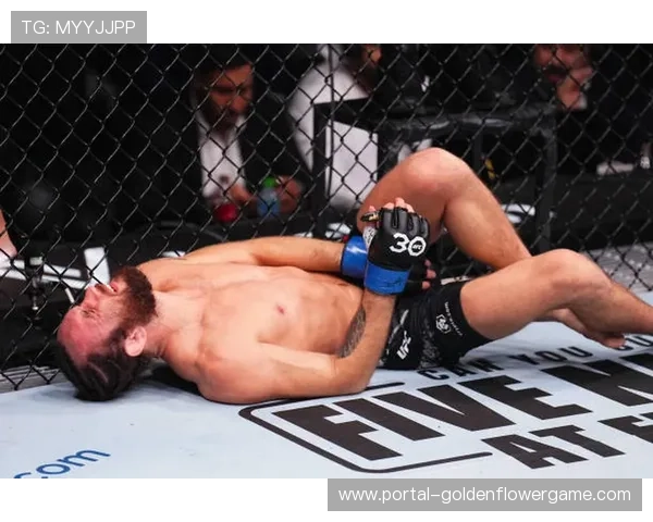 彼得·严终结梅拉布·德瓦利什维利14连胜，二夺雏量级冠军